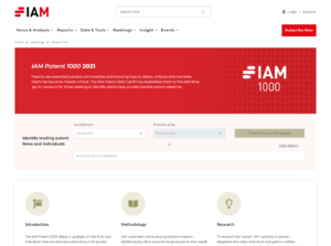 IAM 1000 website