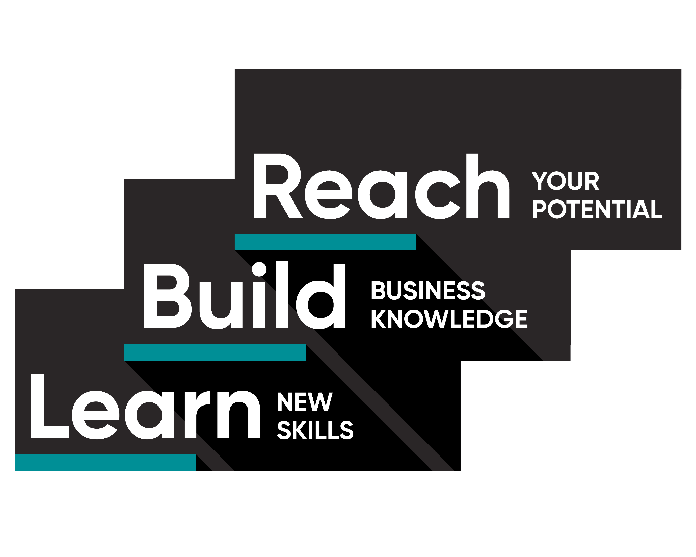 Learn Build Reach Values